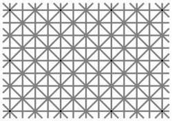 Vignette de DES ILLUSIONS D'OPTIQUE ou DESILLUSION OPTIQUE ?